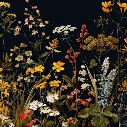 Black Background Vintage Botanical Wildflower Printable Floral Wall Art - Palette Pad