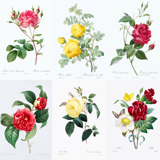 FREE Vintage Wildflower Bundle by Pierre Joseph Redoute - Palette Pad